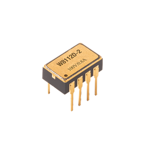 100 В/0,8 А W8112D-2